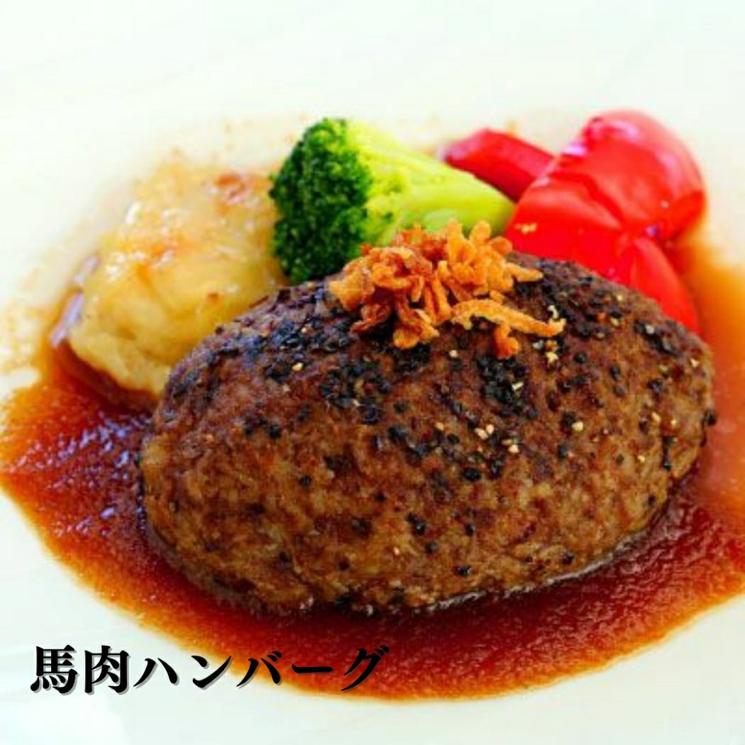 菅乃屋 公式通販サイト】|【単品】馬肉タテガミ入り馬肉ハンバーグ